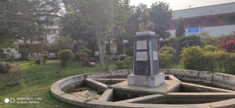 garden1